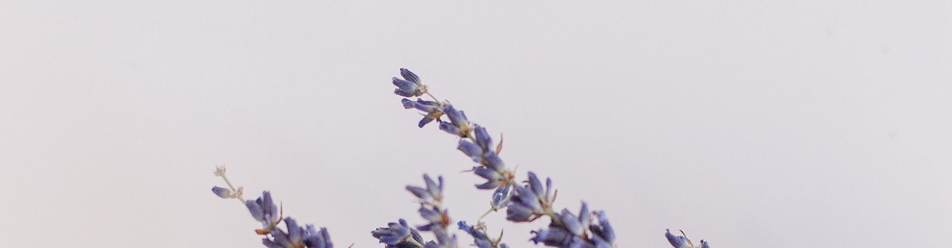 Био Етерични Масла Armina Bio