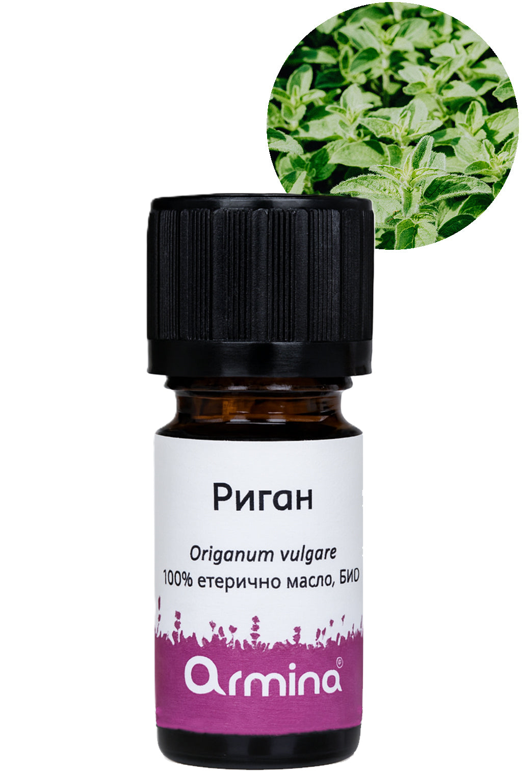 Кутия Здраве