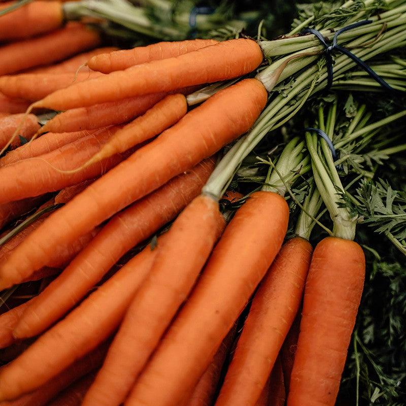 Био Eтерично Mасло от Морков Armina