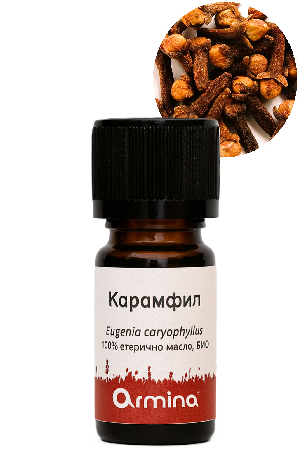 Кутия Коледа