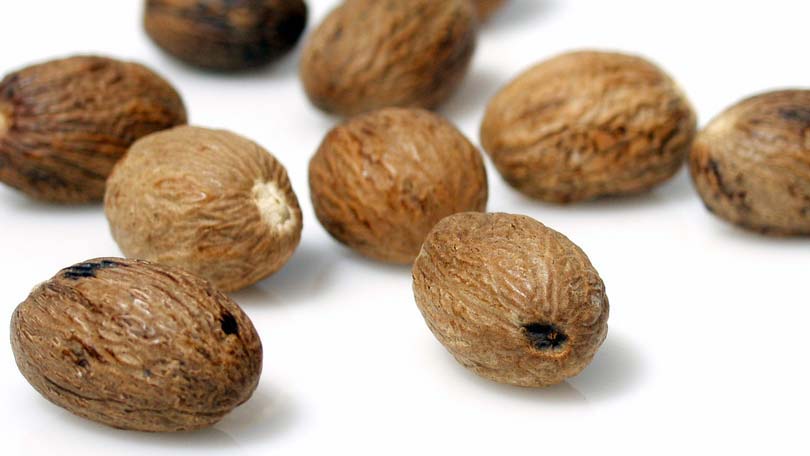 Био Eтерично Mасло от Индийско Орехче Armina