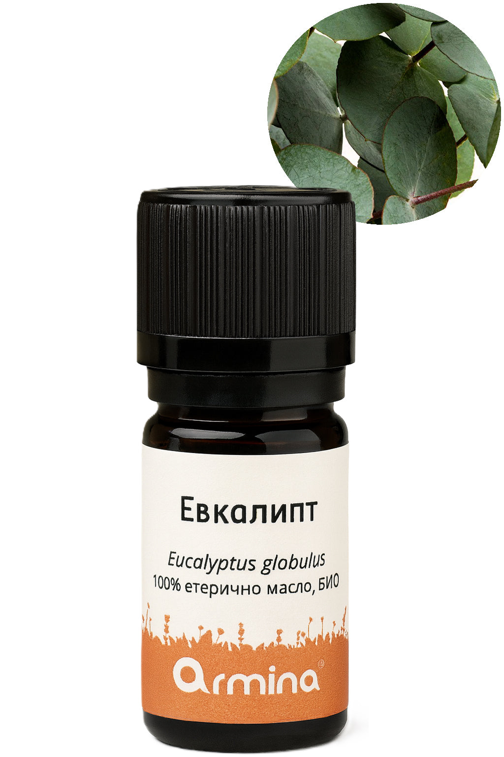 био етерично масло евкалипт глобулус