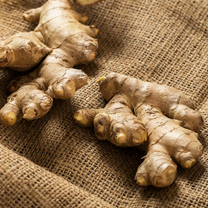 Био Eтерично Mасло от Джинджифил пресен Armina