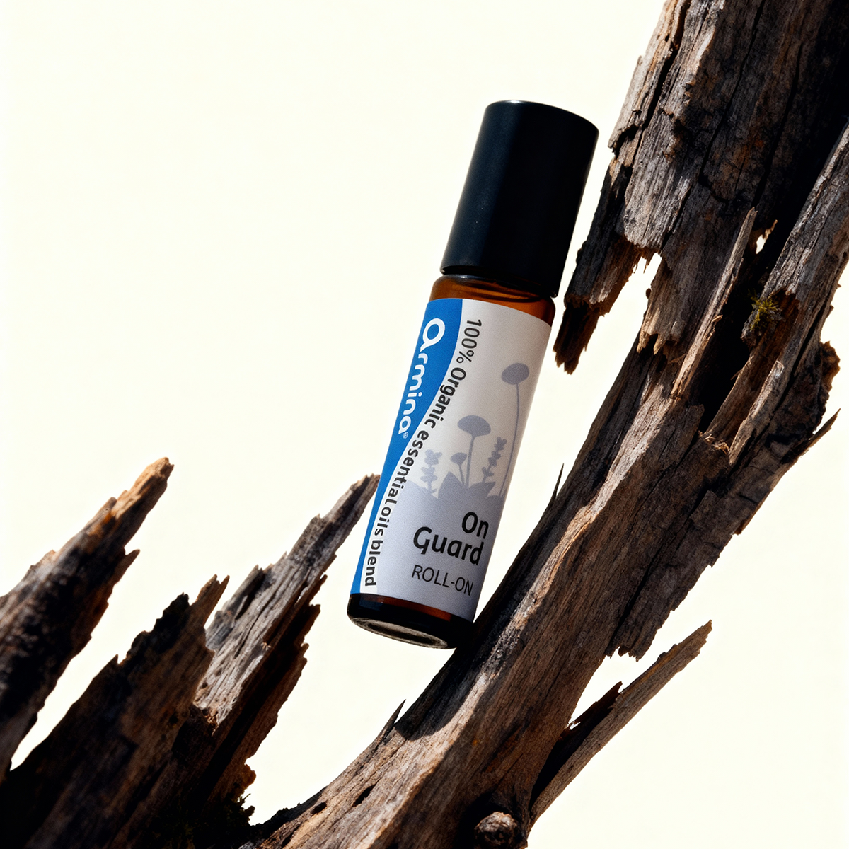 Кутия Здраве