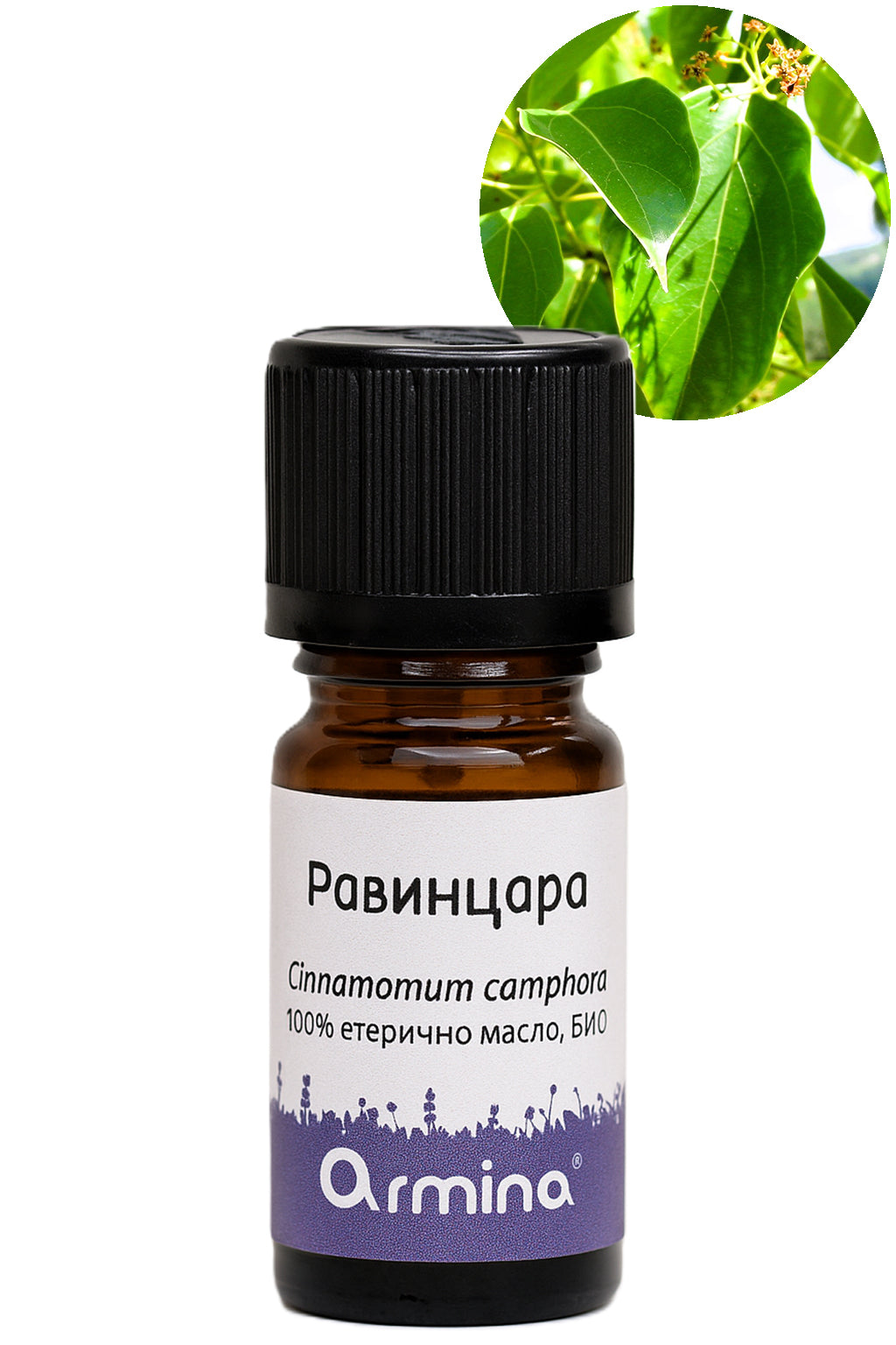 био етерично масло равинцара