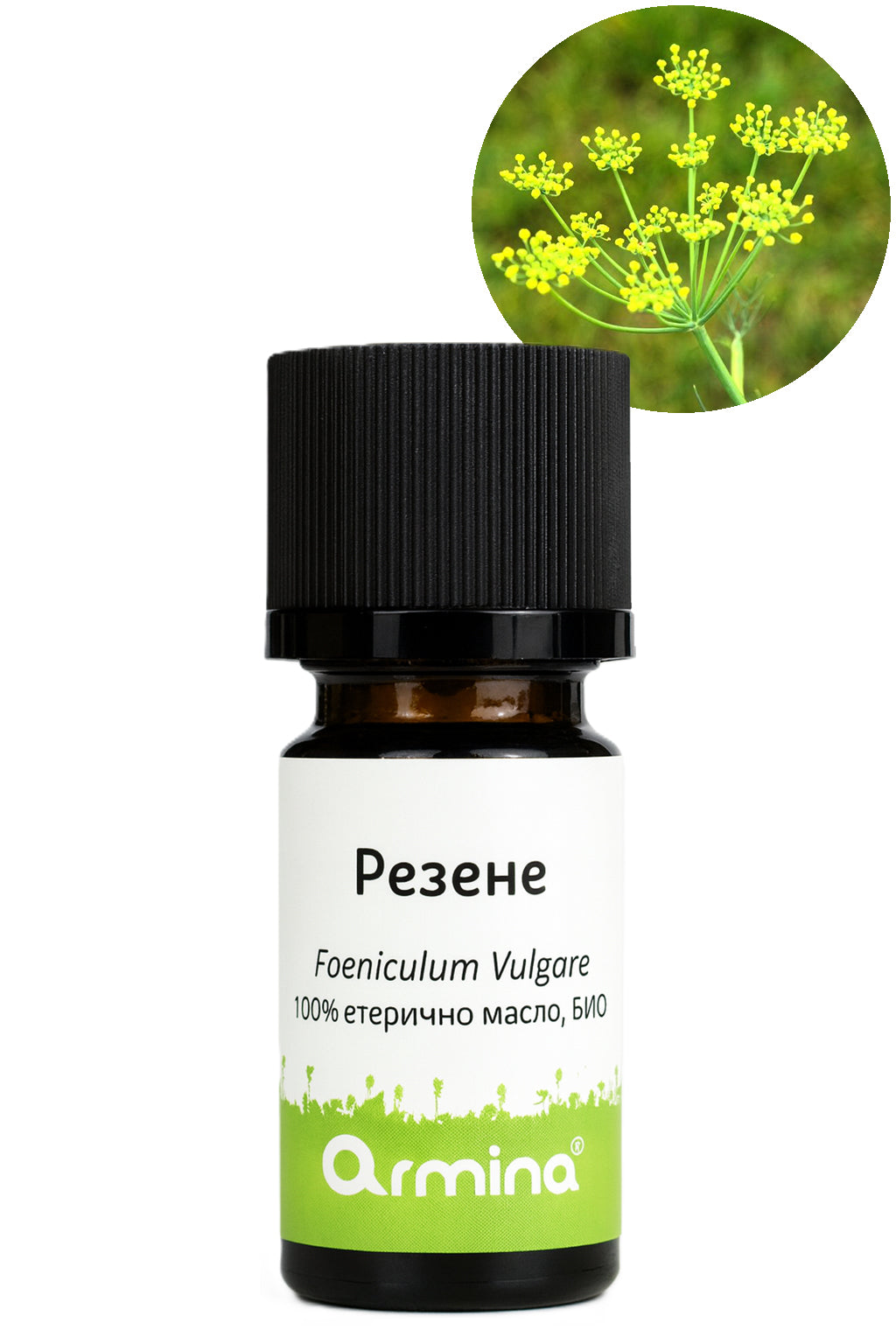 етерично масло резене армина