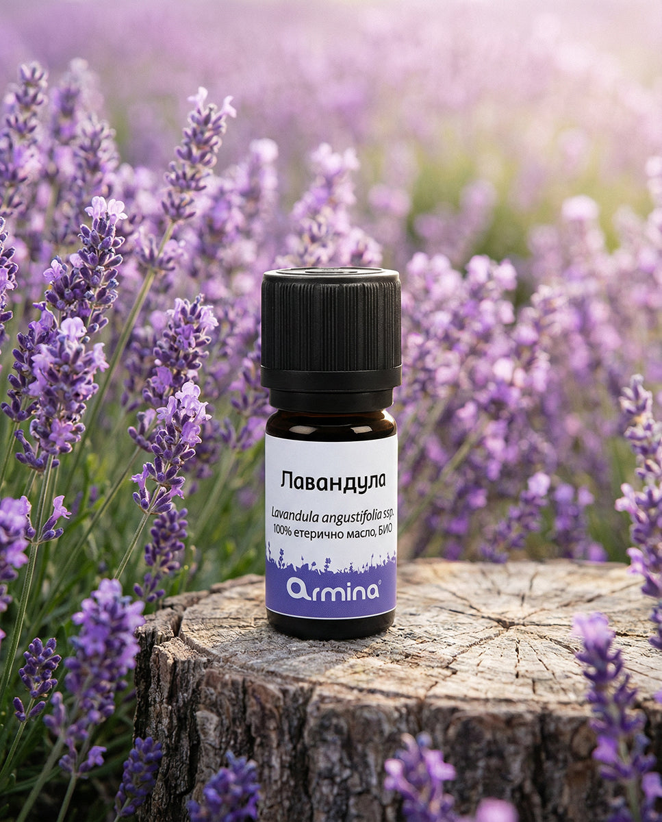 Кутия Лека нощ