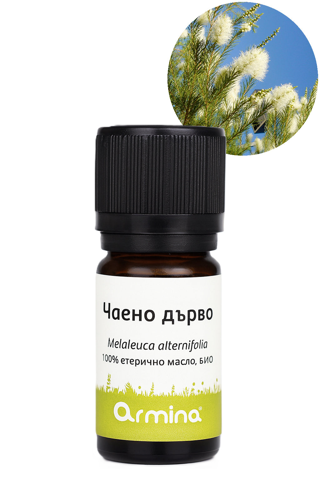 чаено дърво био етерично масло armina