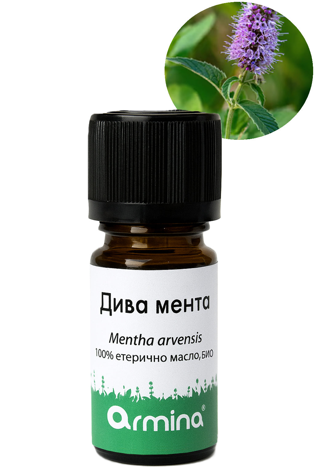 дива мента био етерично масло armina