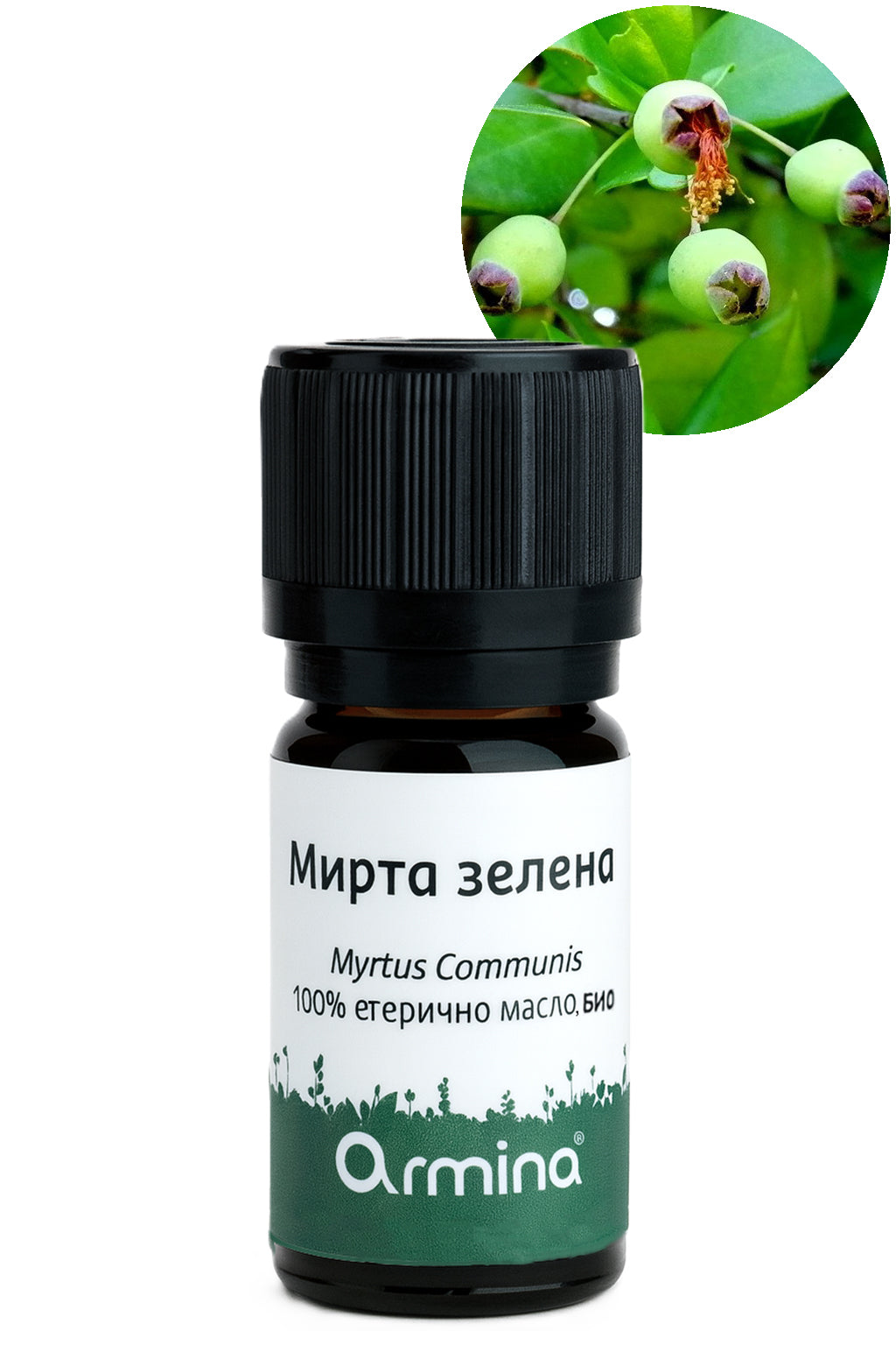 био етерично масло мирта зелена armina