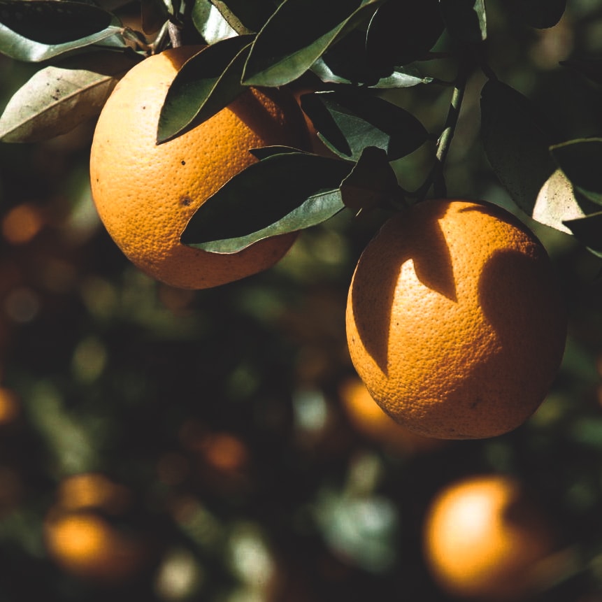 Био Eтерично Mасло от Портокал, сладък Armina