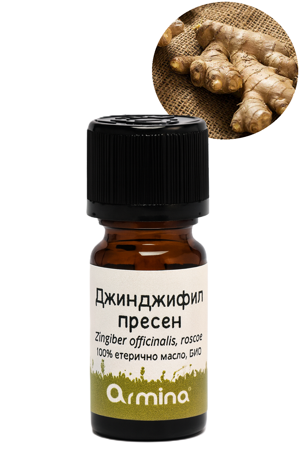 био етерично масло джинджифил армина
