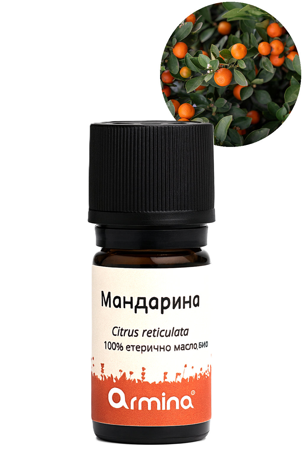 Кутия Коледа