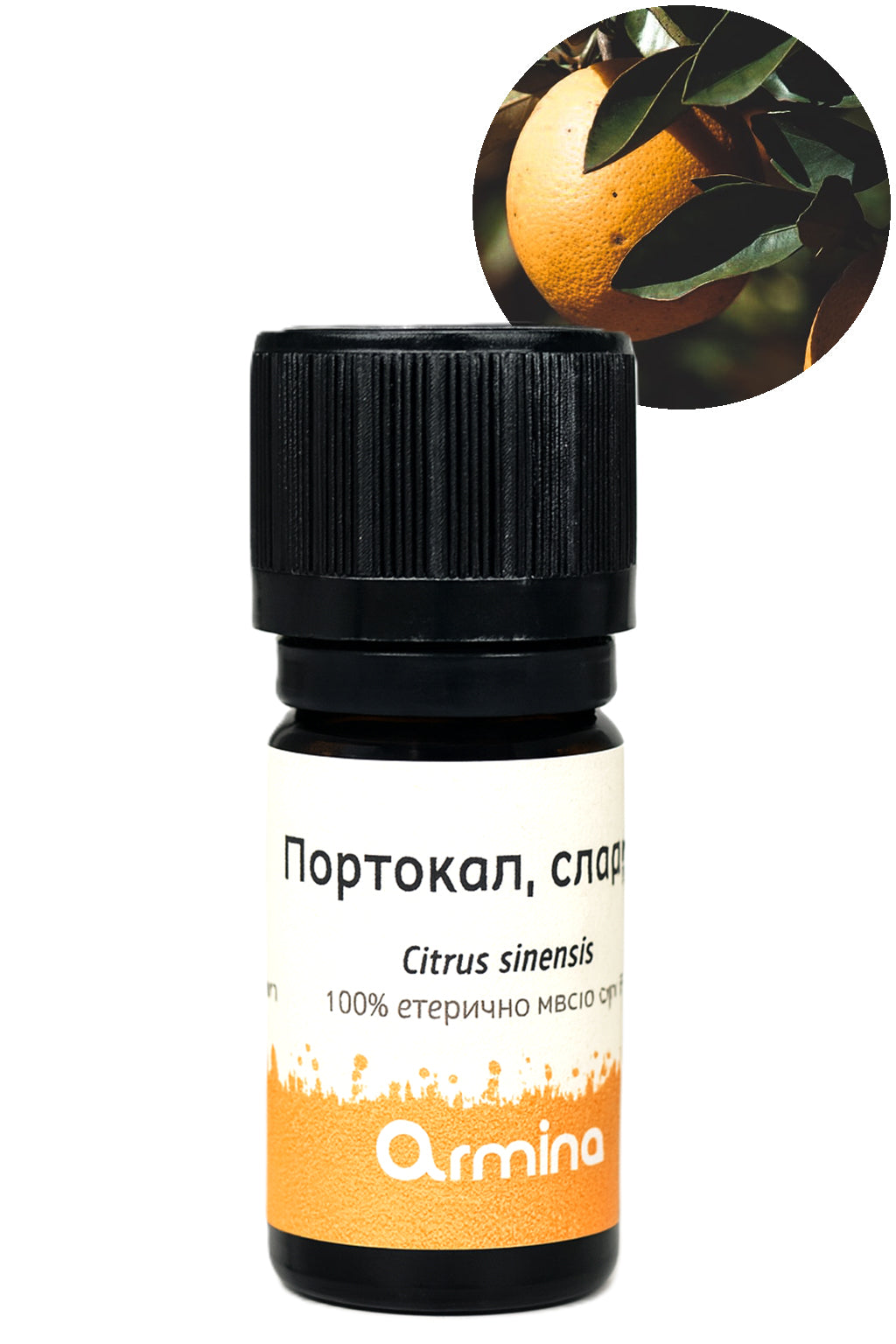 Кутия Коледа