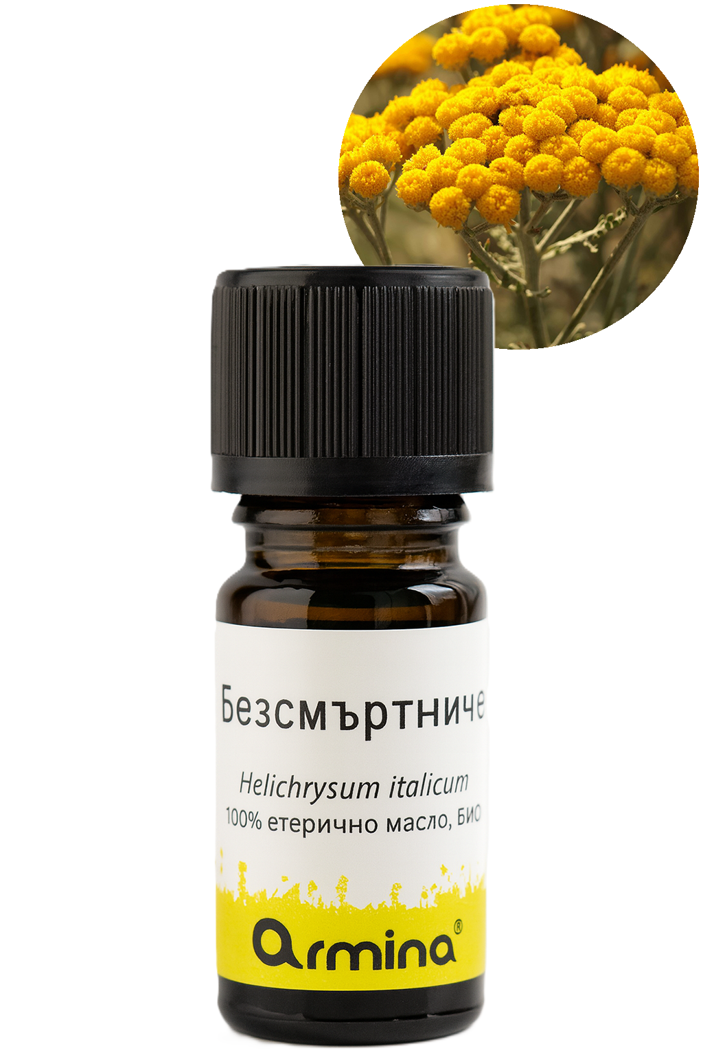 био етерично масло от безсмъртниче 