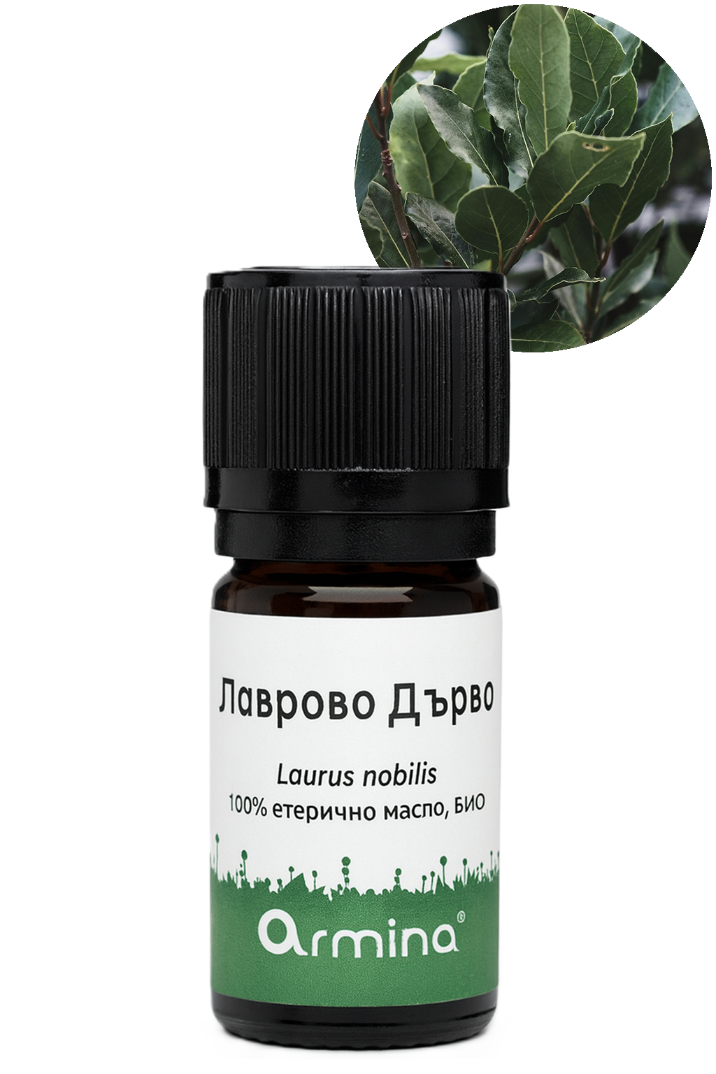 био етерично масло лаврово дърво армина