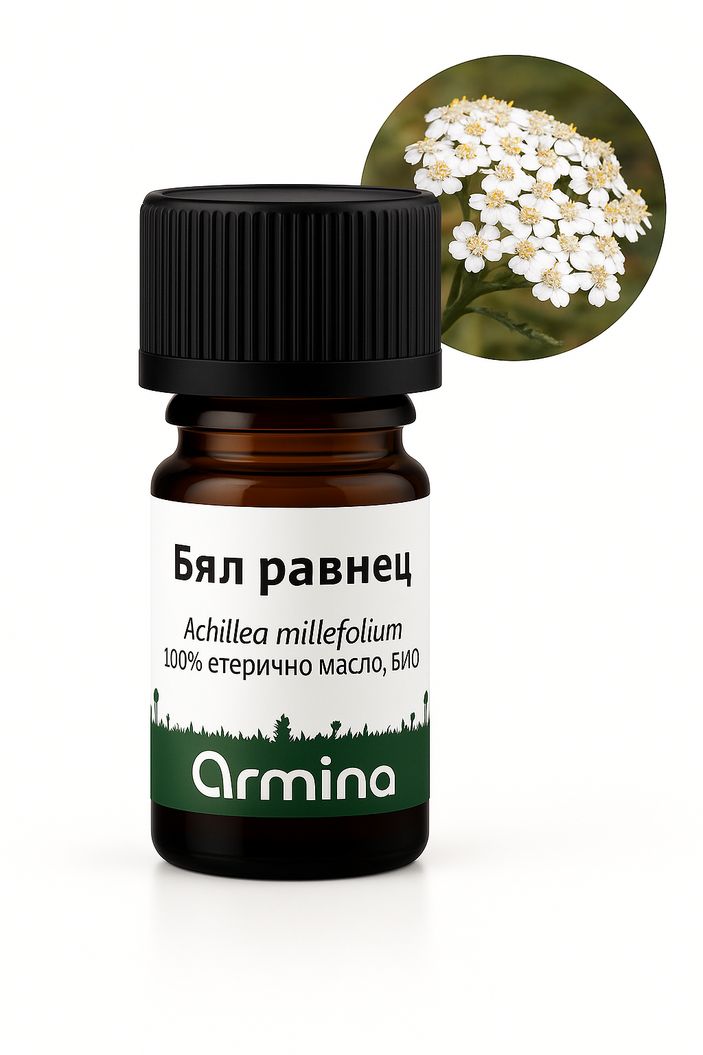 био етерично масло от бял равнец