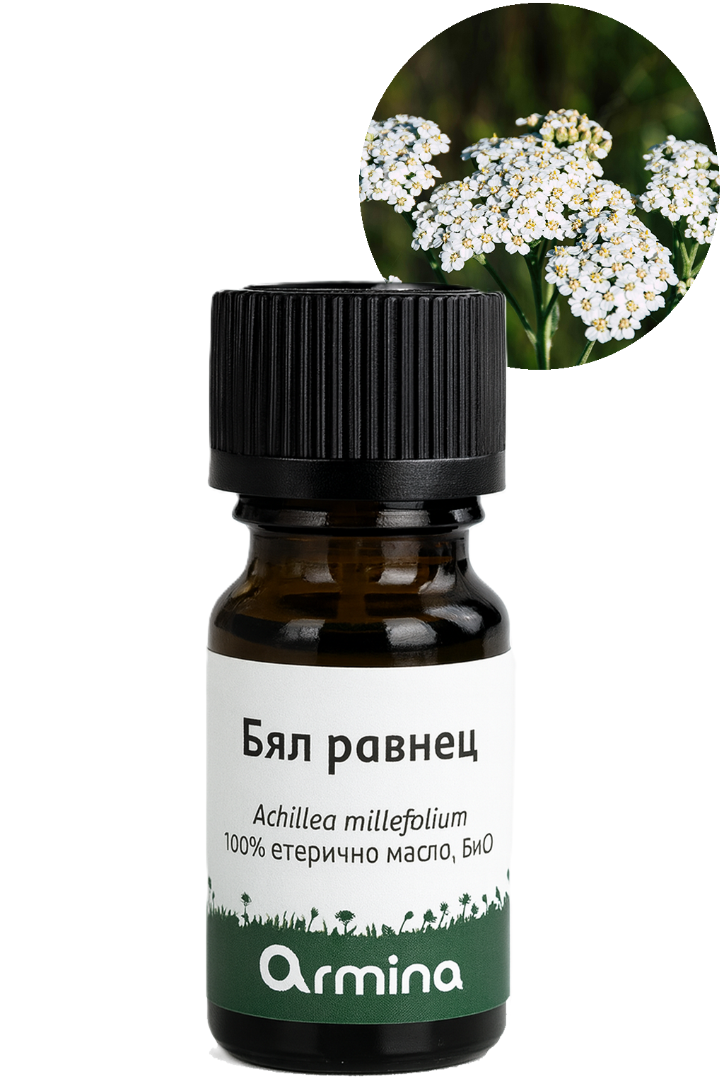 био етерично масло бял равнец армина