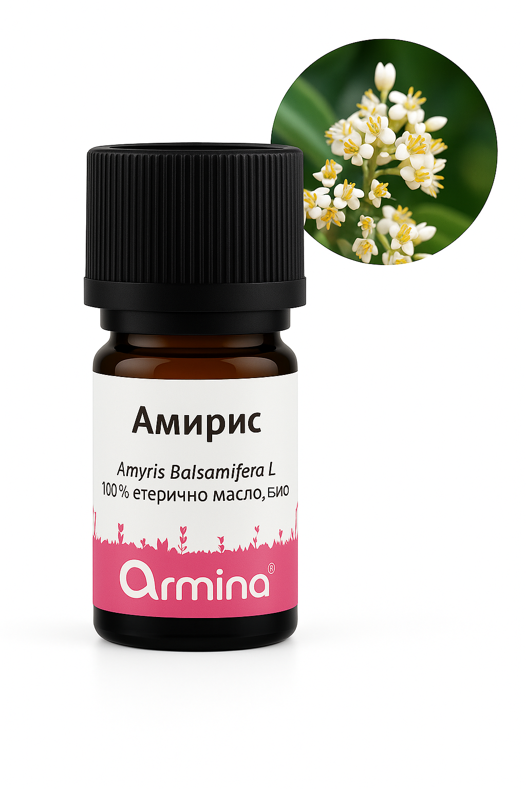 био етерично масло от амирис, армина