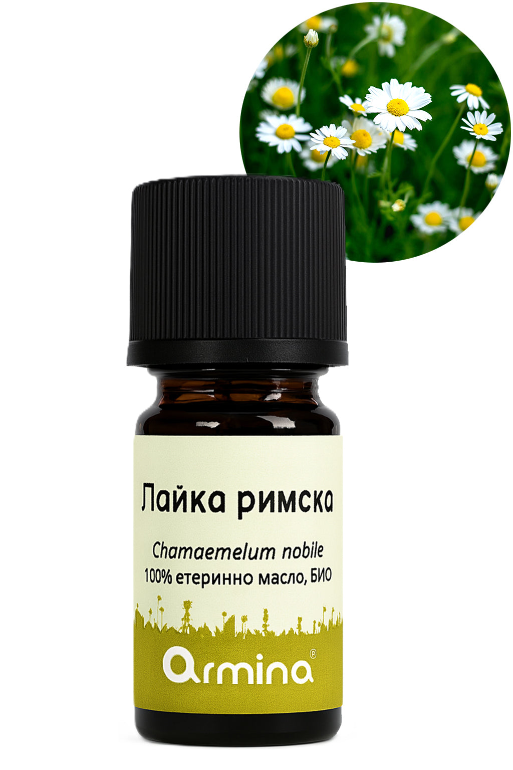био етерично масло от римска лайка армина