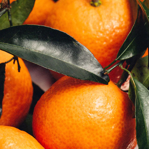 Био Етеричното Масло от Клементина Armina