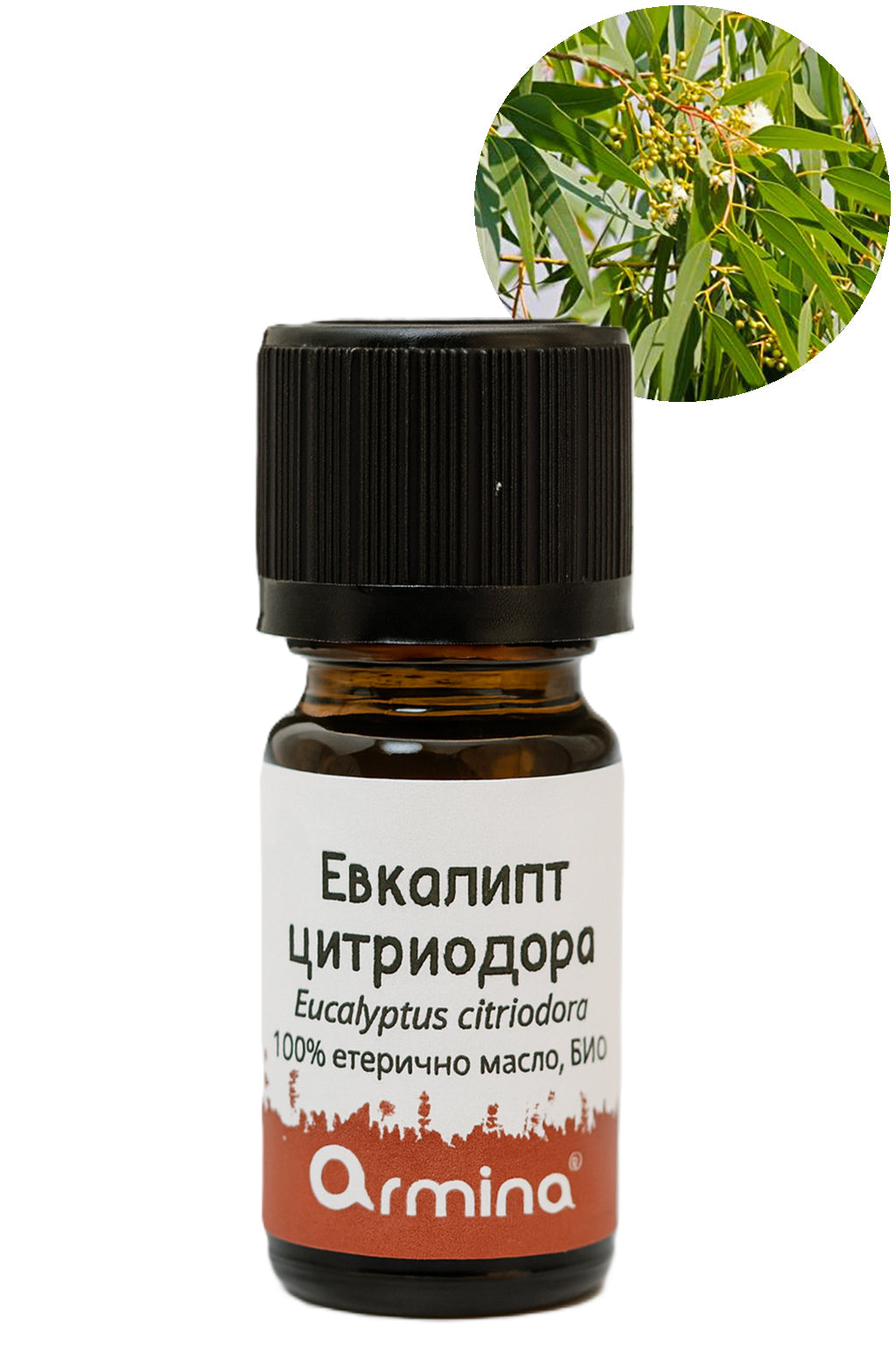 био етерично масло евкалипт цитриодора armina