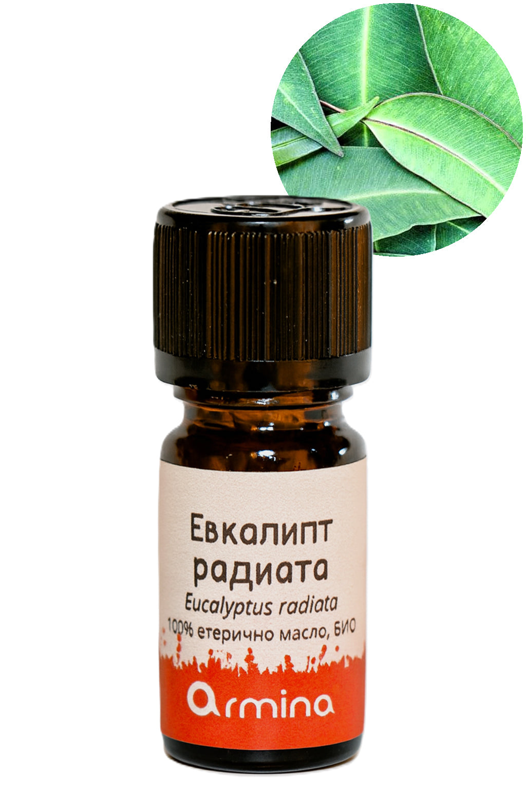 био етерично масло евкалипт радиата армина