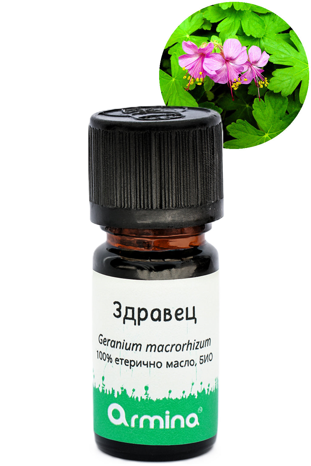 био етерично масло здравец армина