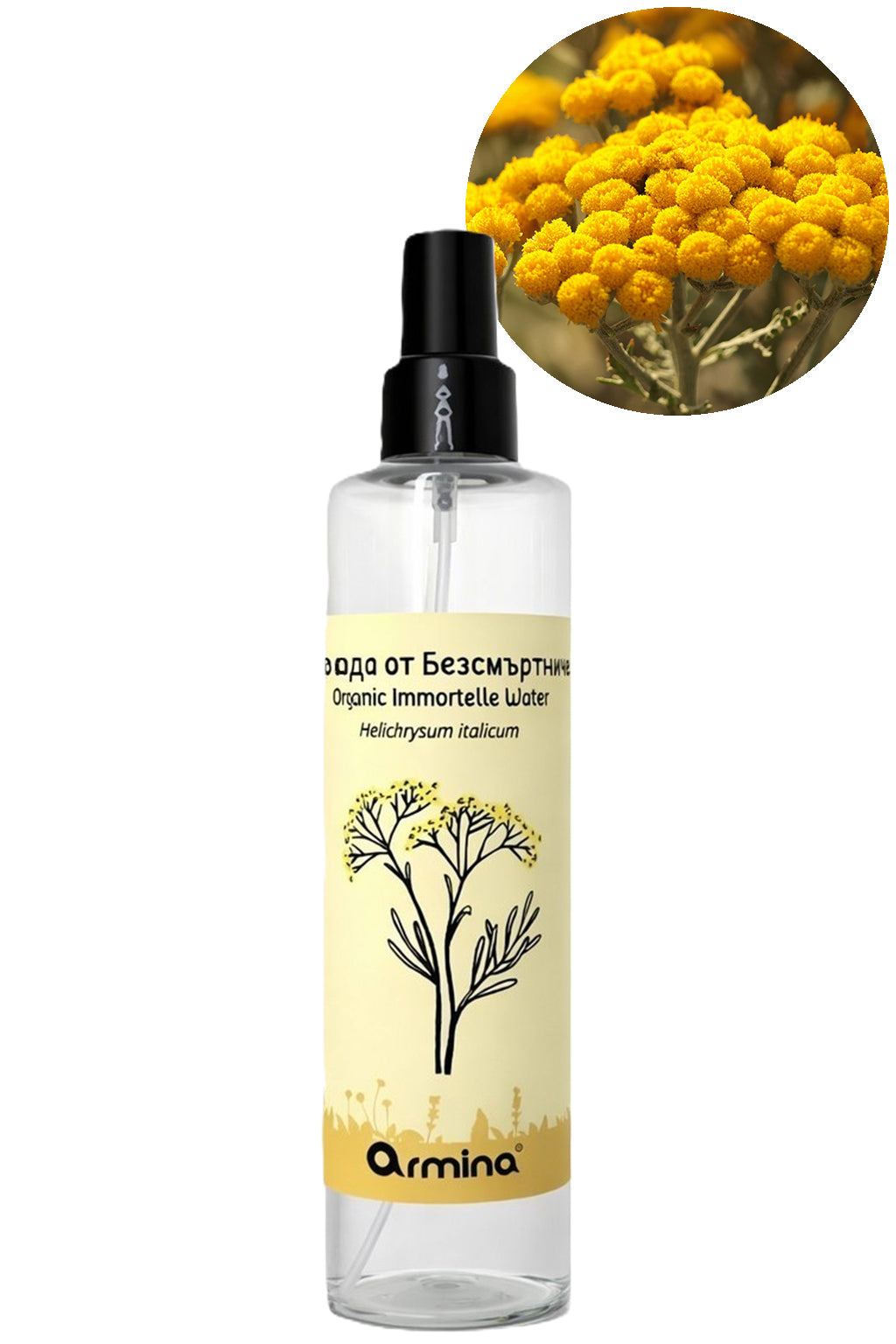 Био флорална вода от безсмъртниче